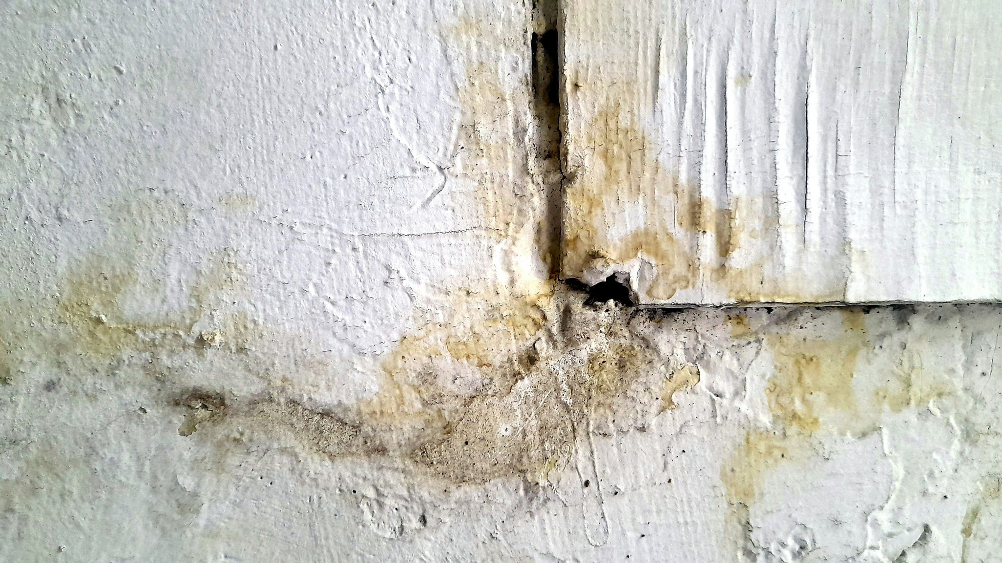 Yellowish-brown water stains & mold.